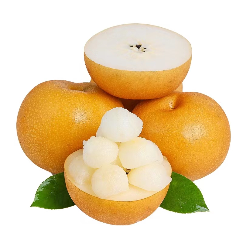 山东秋月梨测评！4.5斤礼盒装，汁水多到爆💦