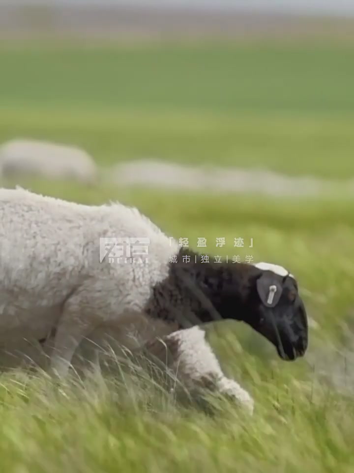 对白斗篷大衣｜3189元买到的冬日魔法✨