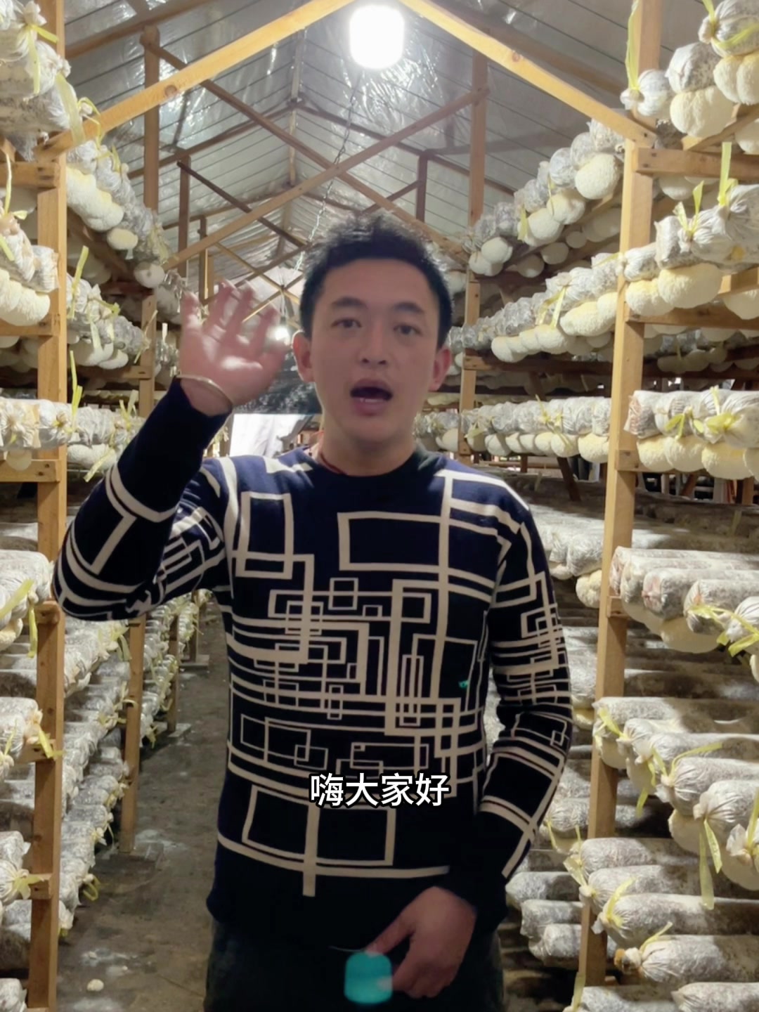 古田猴头菇干货测评：无熏硫的天然菌菇，煲汤炒菜都绝了！