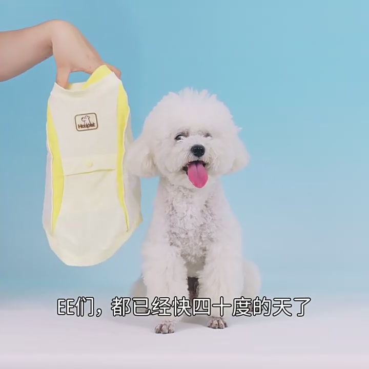 这衬衫太绝了！职场精英的隐形战袍，无痕设计让我秒变男神