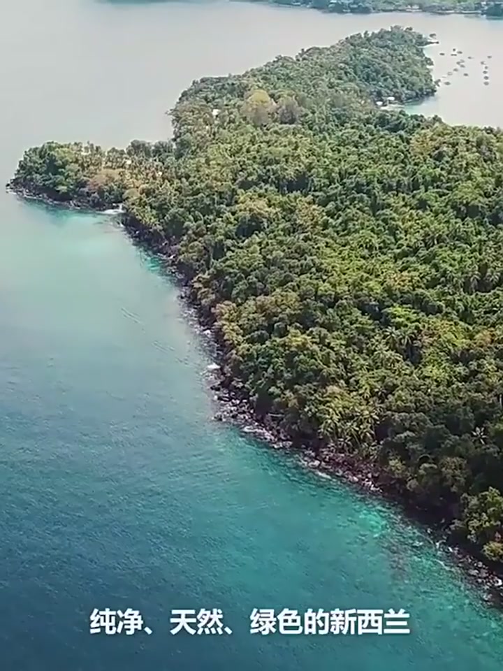 贵妇级鹿胶原蛋白肽饮：喝出“钞能力”还是智商税？