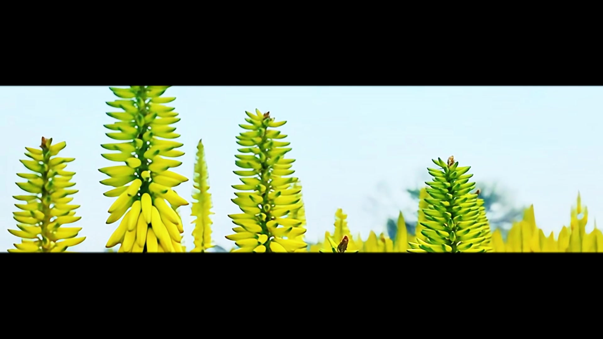 李宁这条卫裤，我愿称之为“健身狗的冬日续命神器”！