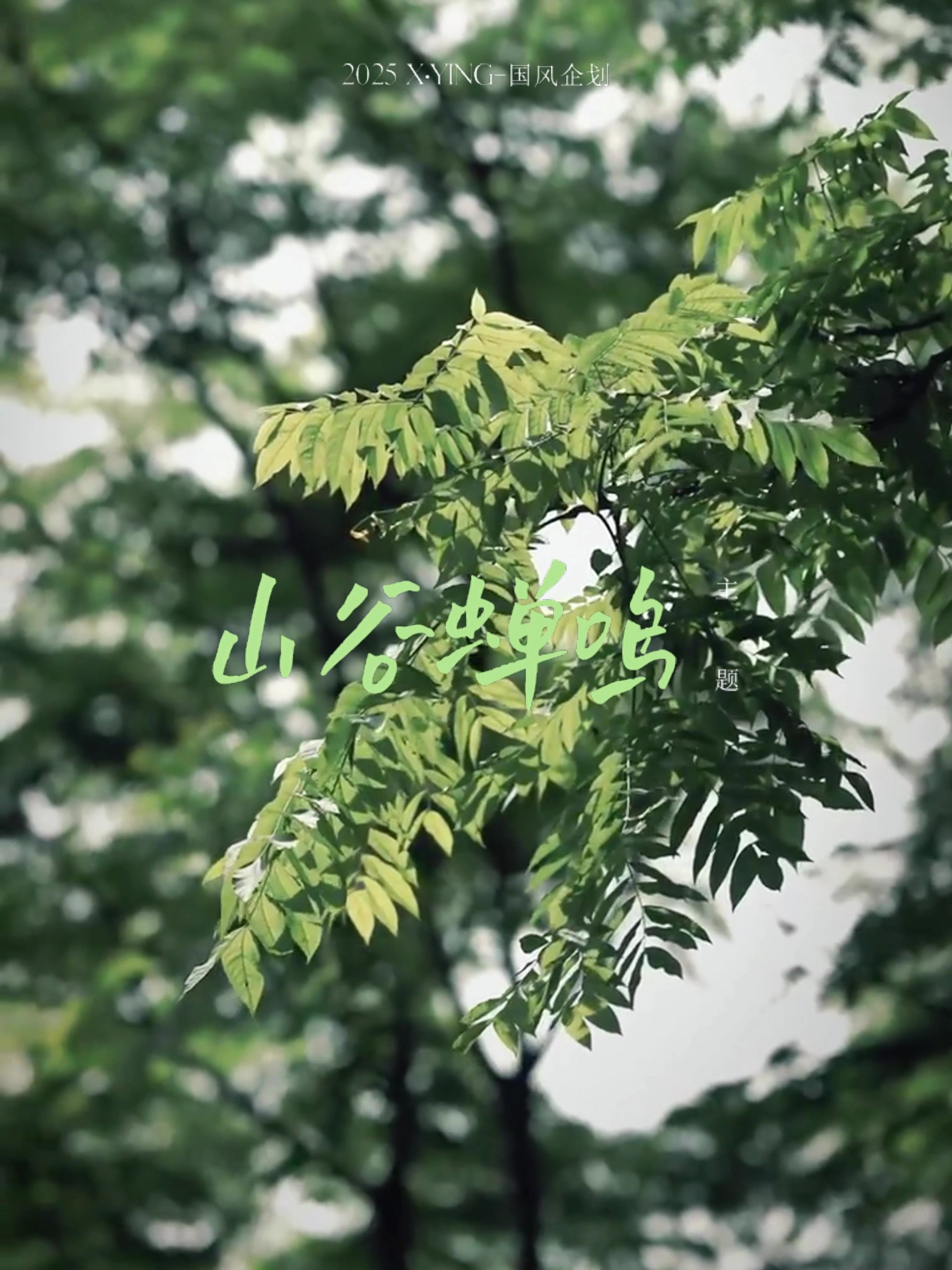 香影新中式竹子印花T恤：不规则下摆的夏日禅意穿搭