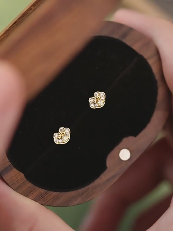 DTOTO 999足银如意祥云耳钉：国风轻奢的养耳洞神器，值不值这个价？