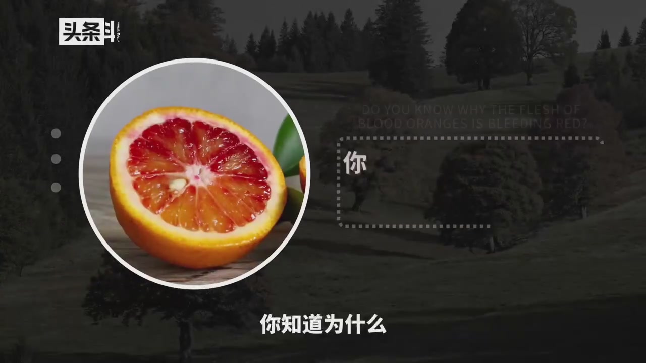 挑战全网最‘血’的橙子！湖南塔罗科血橙开箱实测，这波不亏！