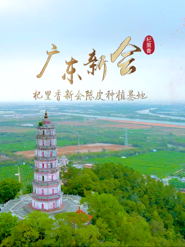 总裁特批！陈皮新老交替，我居然挑战了100g*2罐！