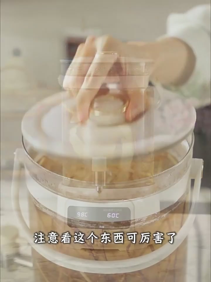 金正养生壶：小身材大能量，我的养生新宠！