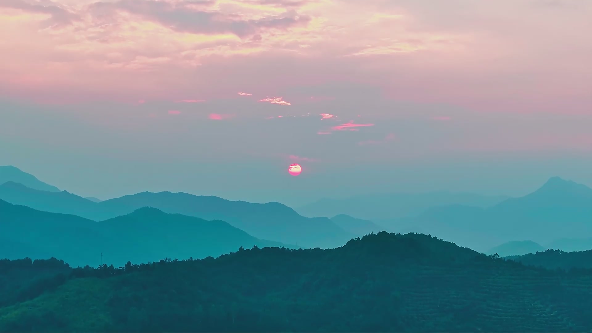 同仁堂柴胡颗粒，我的解压神器！