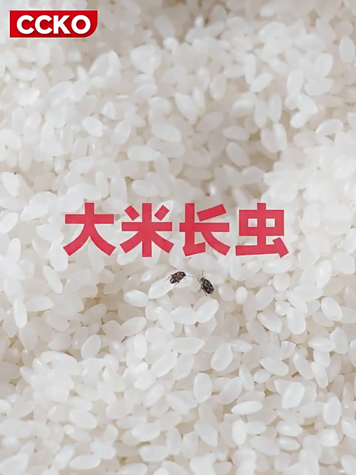 用了CCKO抗菌米桶，我家的米再也不怕潮了！