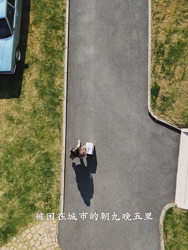 中年商务男神必备！安东尼奥A&N桑蚕丝衬衫，穿出低调奢华感