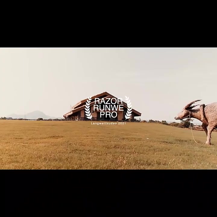 朗威RUNWE双头剃须刀测评：小巧便携，旅行必备！