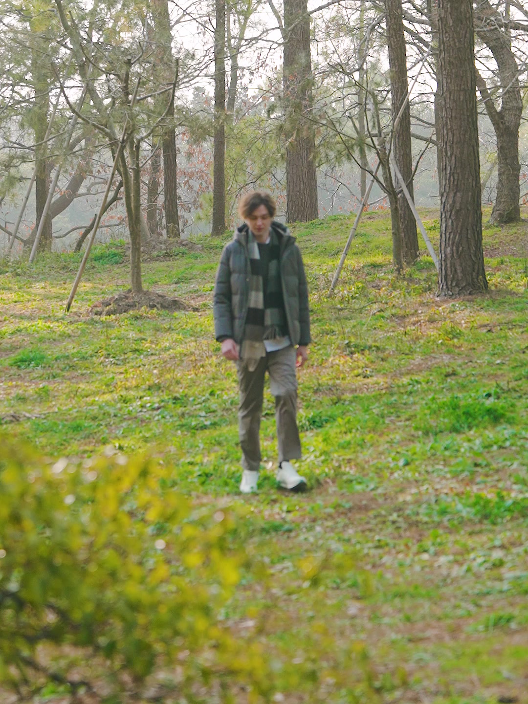 过年送礼首选!长白山人参礼盒开箱,爸妈都说太值了!