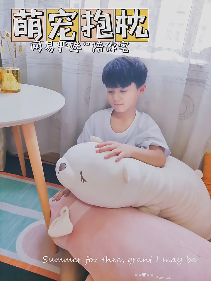 宅家必备！网易严选萌宠抱枕，我的治愈系新宠