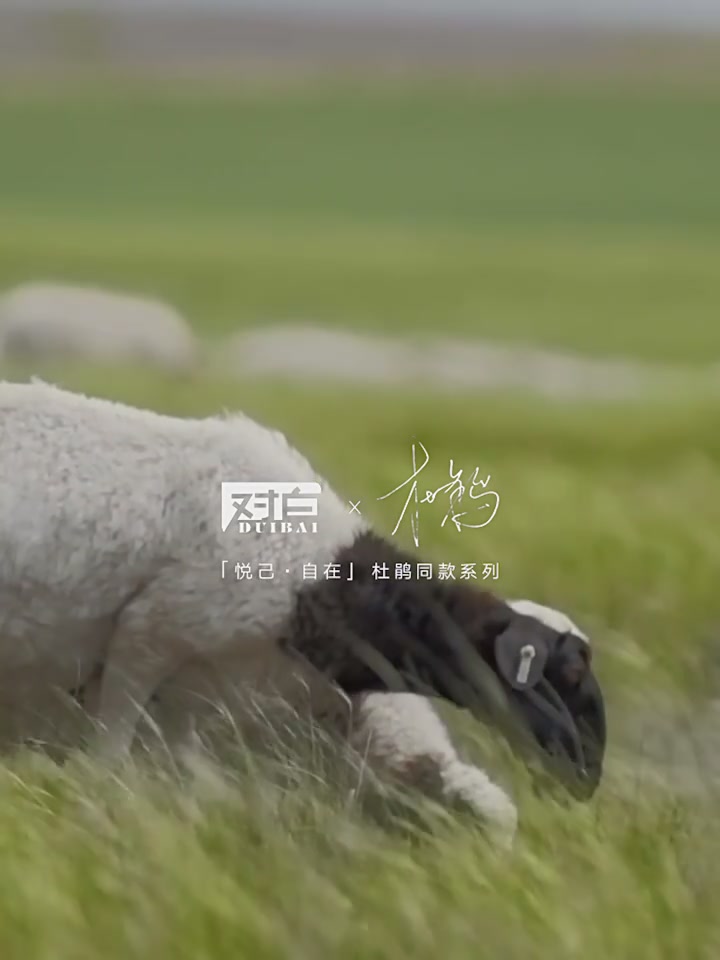 杜鹃同款羊毛大衣测评｜3999元值不值得入？