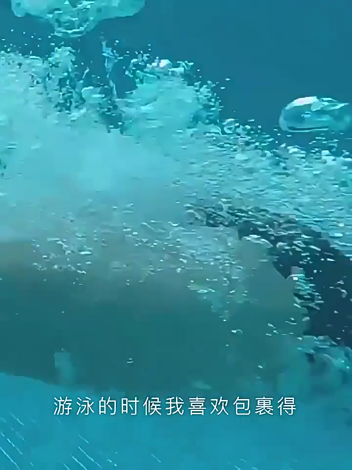 Watertime泳衣测评：微胖女孩的遮肉神器，还是保守派的水下战袍？