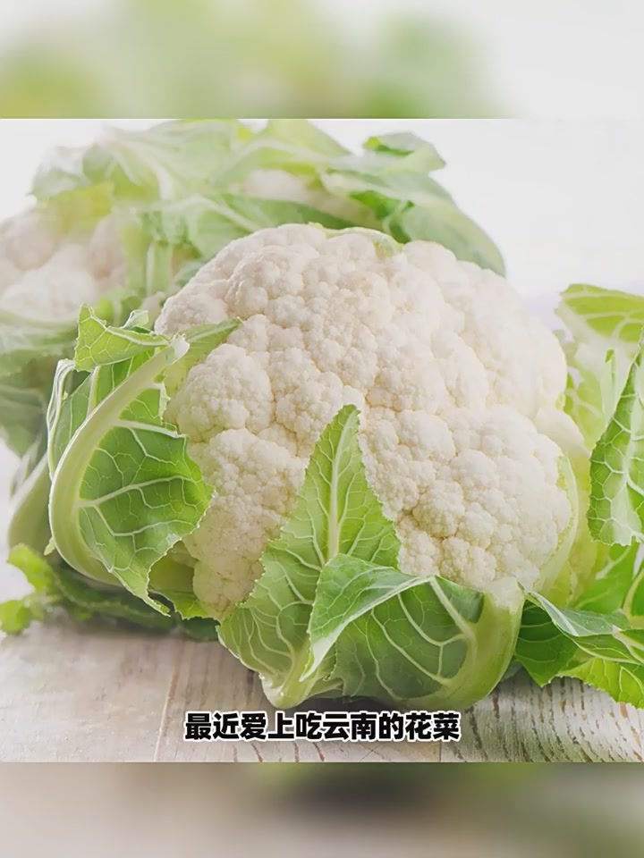 闽台花菜：独处者的抽象美学与紧实口感