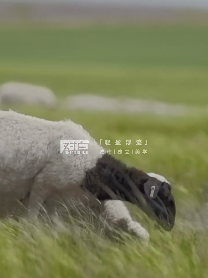 冬日里的一抹奢华，玛诗玛丽狐狸毛领羽绒皮衣，12800元值不值？