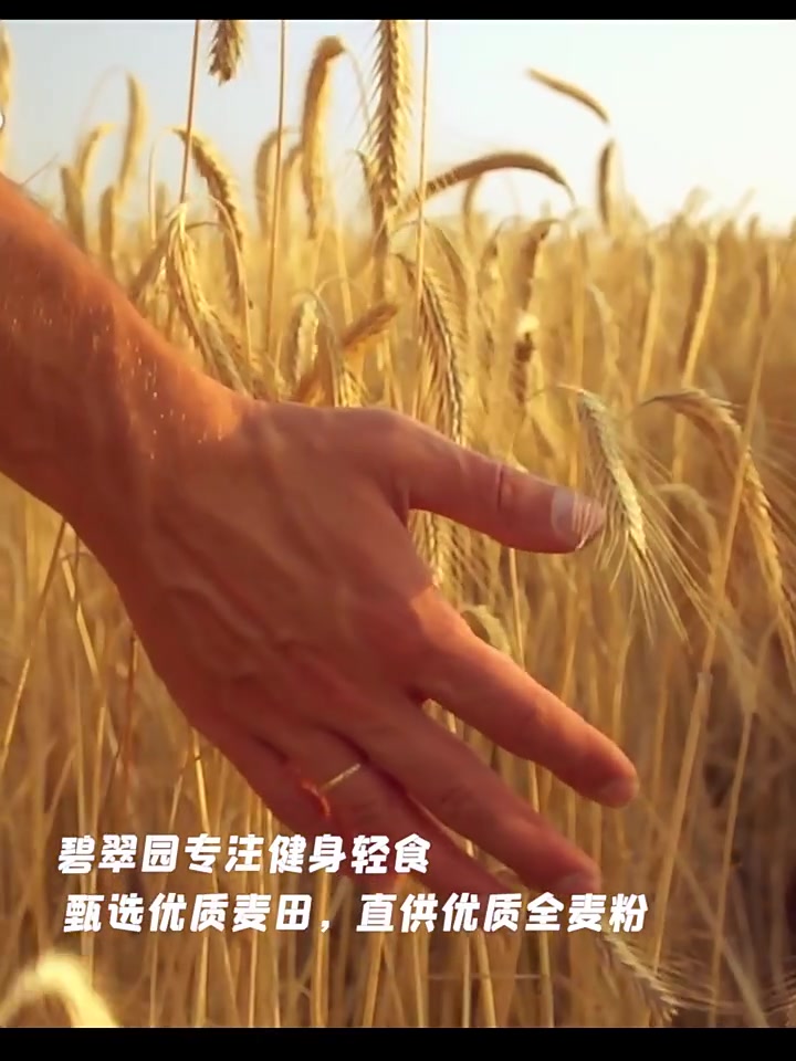 碧翠园无糖黑麦荞麦全麦粗粮面包：低卡高饱腹，吃货的刺激新选择！