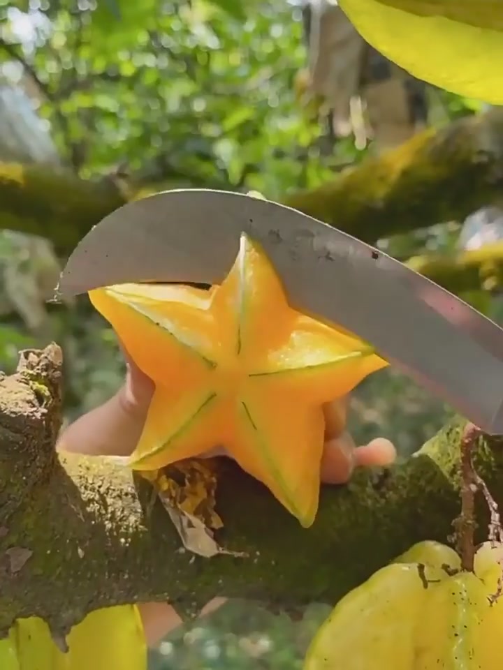 暖果先森杨桃测评：5斤福建漳州杨桃，是酸到灵魂出窍还是甜到心坎里？