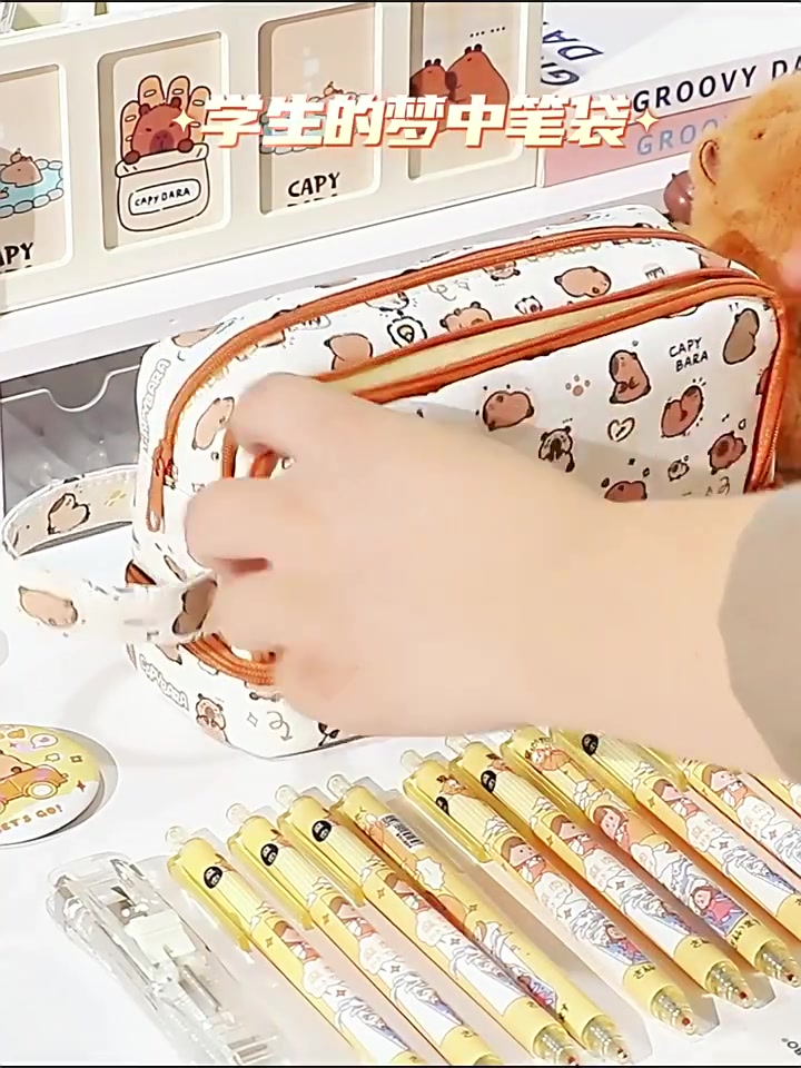 金万年卡皮巴拉笔袋：高颜值透明笔袋，小学生的高级感文具新宠？