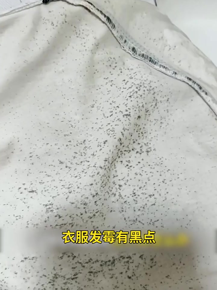 黎漾衣物除霉剂：白衣服发霉救星？亲测告诉你真相！