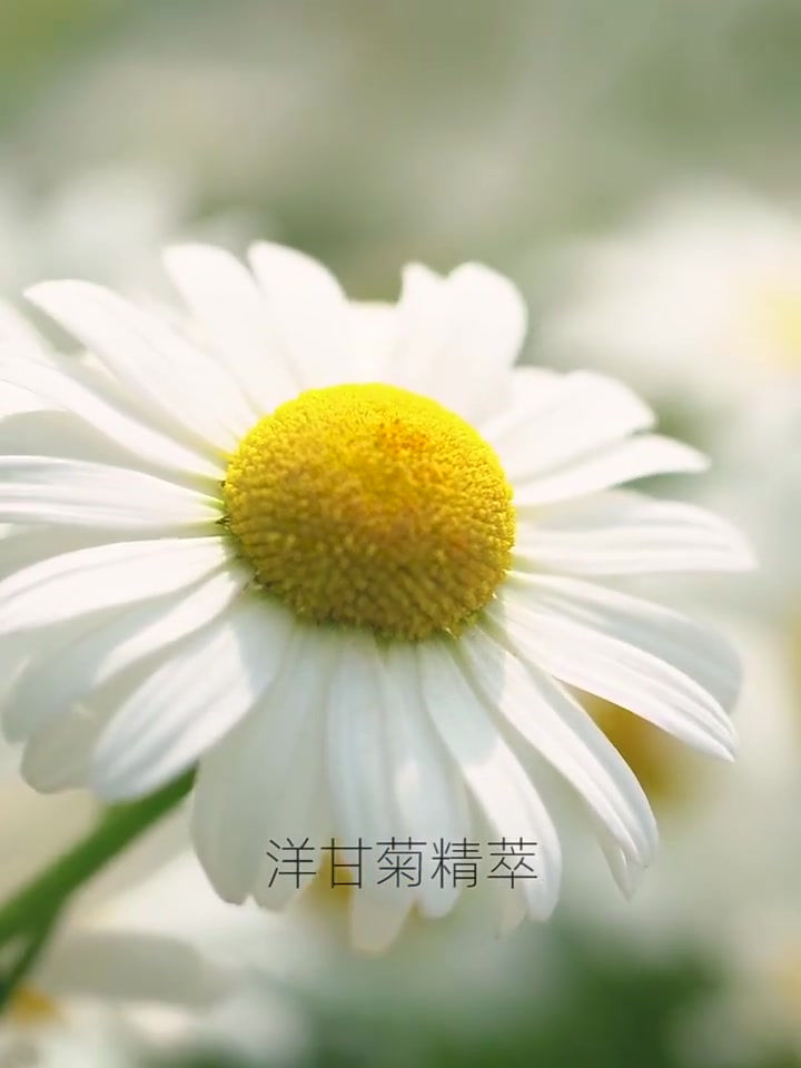 秋冬必备！黎漾凡士林护手霜，29.9元大容量拯救干裂手！