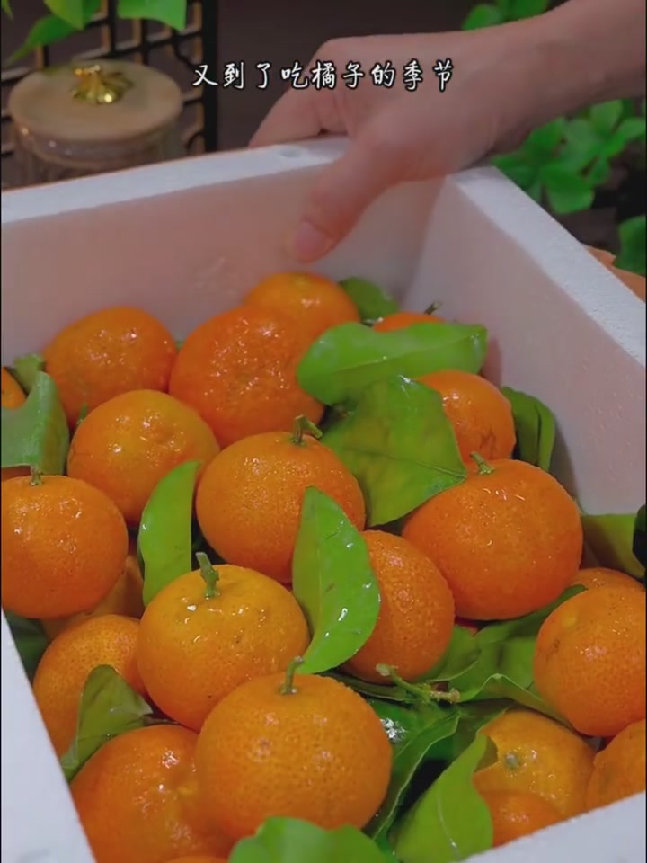 孕妈必囤！这个金秋砂糖橘也太甜了吧🍊