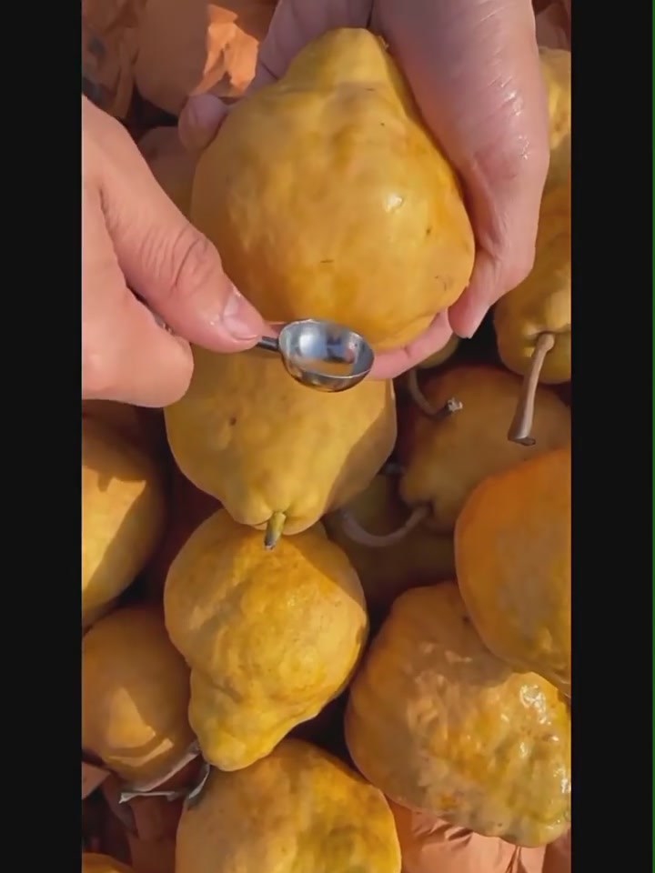 丑到深处自然甜！山东烟台中华丑梨5斤装开箱测评