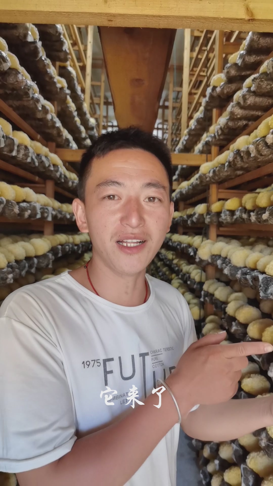 这银耳也太能“胶”了吧！拾誉丑耳让我秒变养生达人