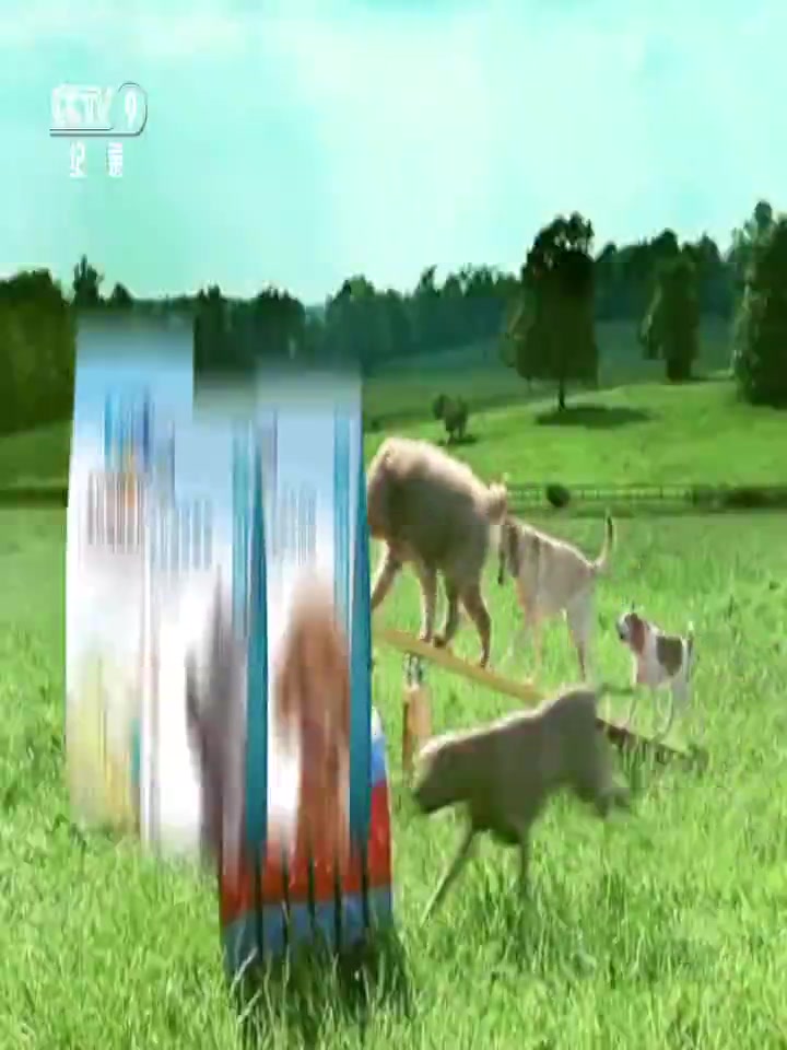 铲屎官必看！森特萌犬粮5斤装，我家狗子吃完竟然...