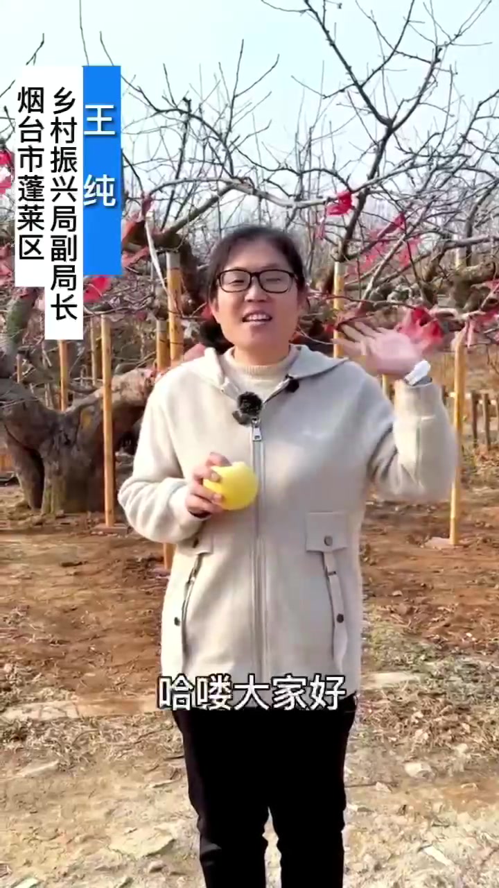 山东奶油富士：一口咬下，甜到灵魂出窍！