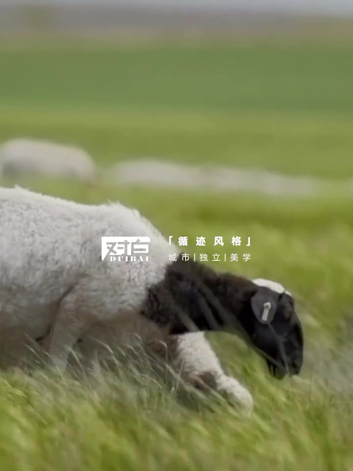 对白羊毛大衣|2499元入手,职场女王的冬日战袍!