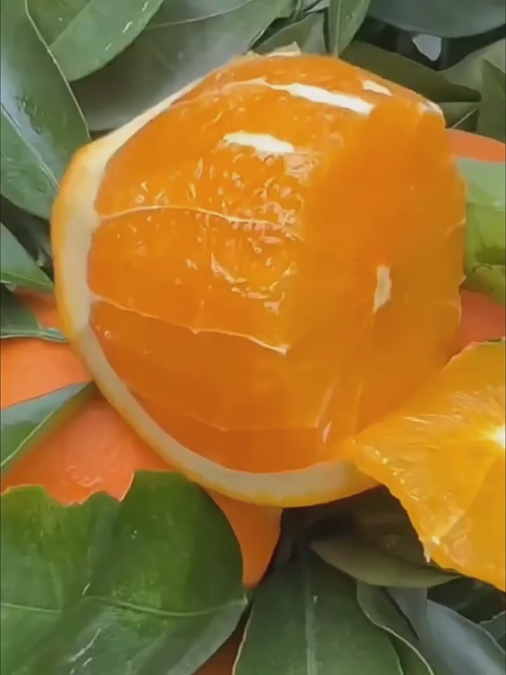 秭归伦晚脐橙:一口咬下,春天在嘴里炸开!