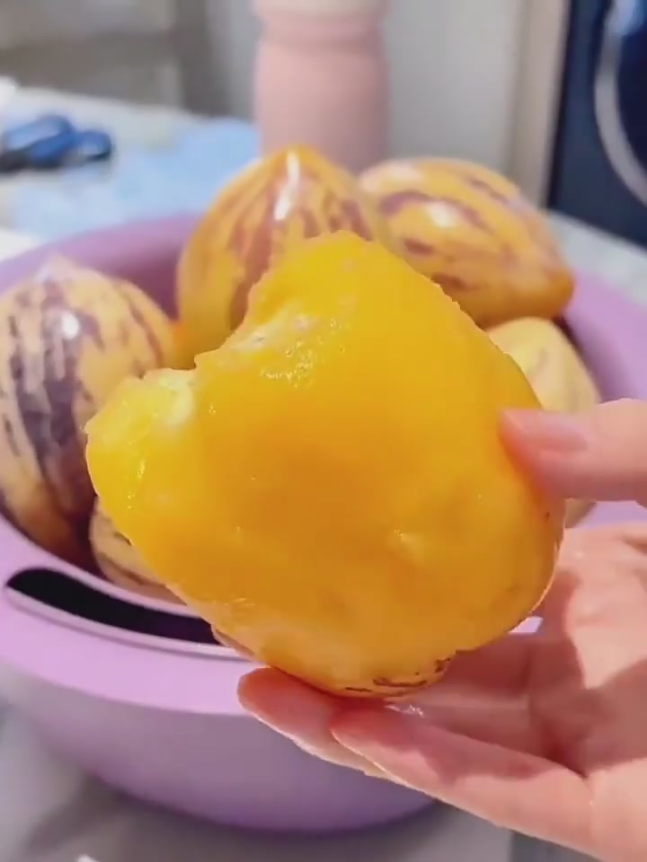 沙漠里的甜蜜奇迹✨ 民勤人参果初体验