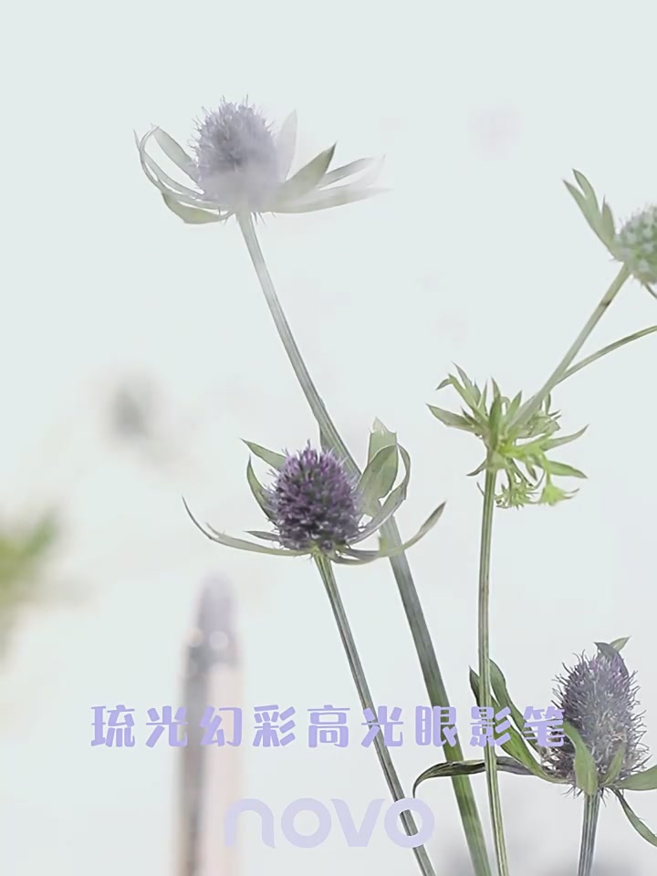 懒人福音！novo琉光双头眼影笔，珠光细闪一抹成型✨