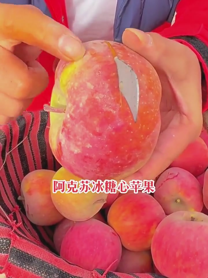 年货必囤！百草味坚果礼盒开箱，这性价比绝了！