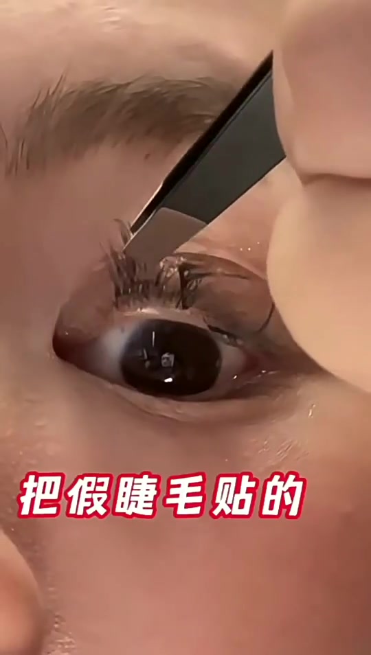 免胶假睫毛新发现！ZIB BQI纯欲猫系精灵，自然到像自己的睫毛✨