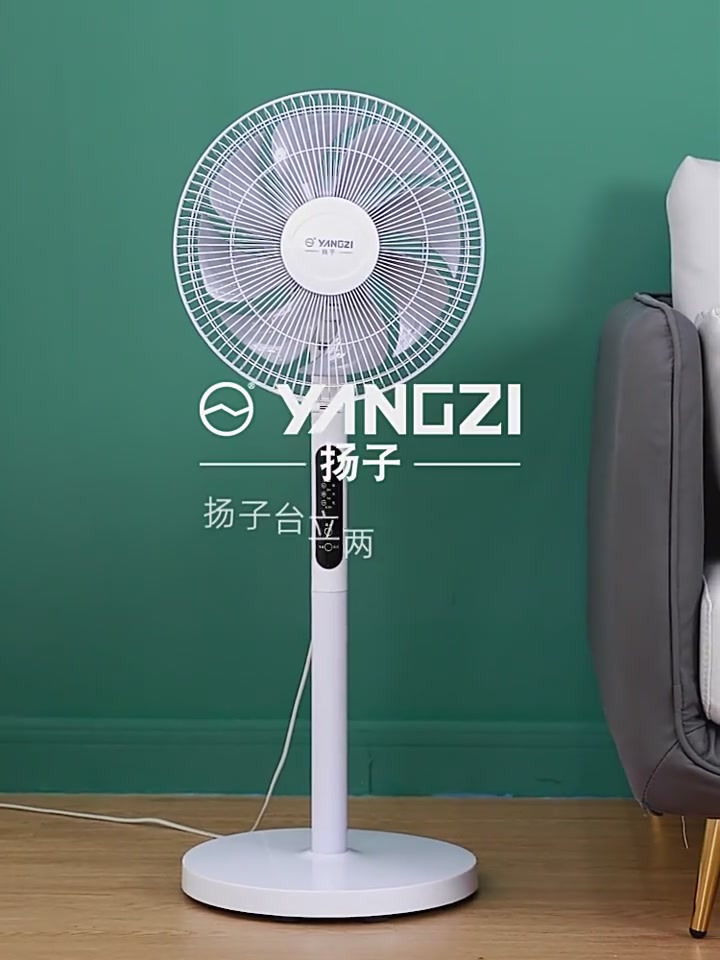 扬子电风扇：办公室里的静音小能手，但别指望它能吹出龙卷风